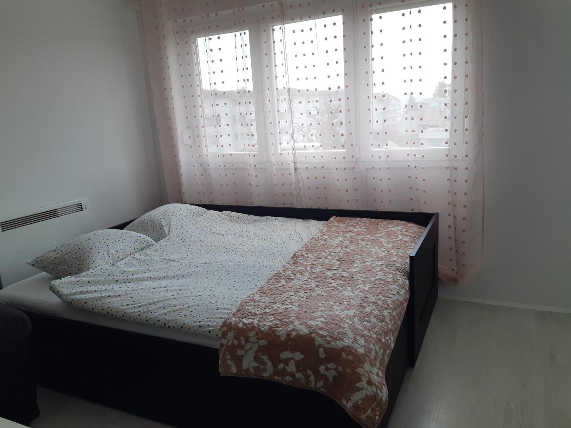 Apartment Zoe I Pet Friendly I Self Check In Osijek